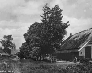 Staal,boerderij met deel in lengterichting.jpg