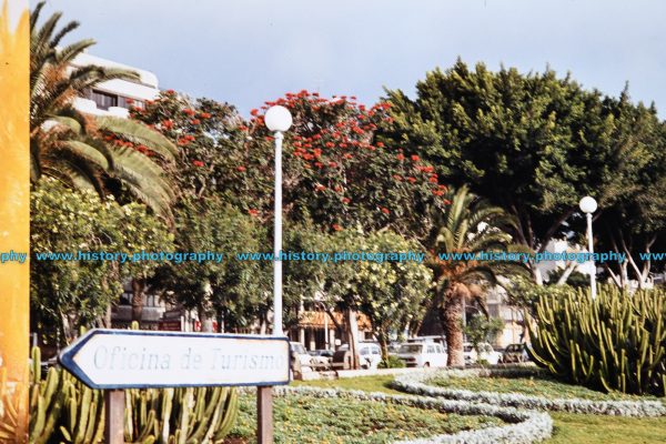 F013361c Tenerife. 1984. Oficina de Turismo