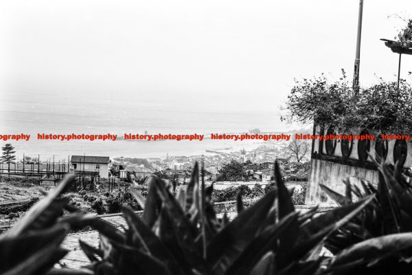 F013371 View of Harbour. Madeira. 1984