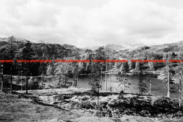 Q002423 Tarn Hows. Lake District. 1964