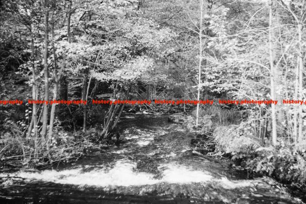 Q002854 Cunsey Beck. Cumbria. 1964