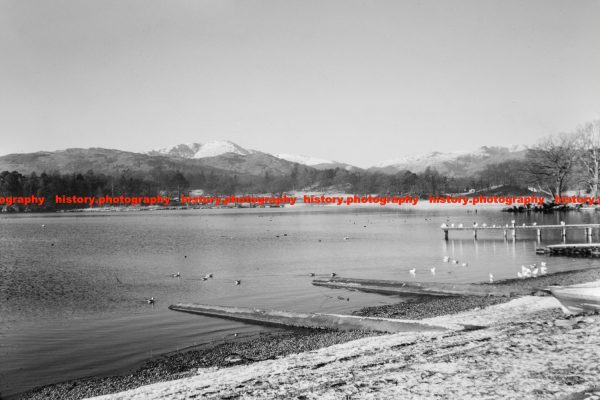 Q003142 Lake Shore at Waterhead Reeds. Cumbria. 1963