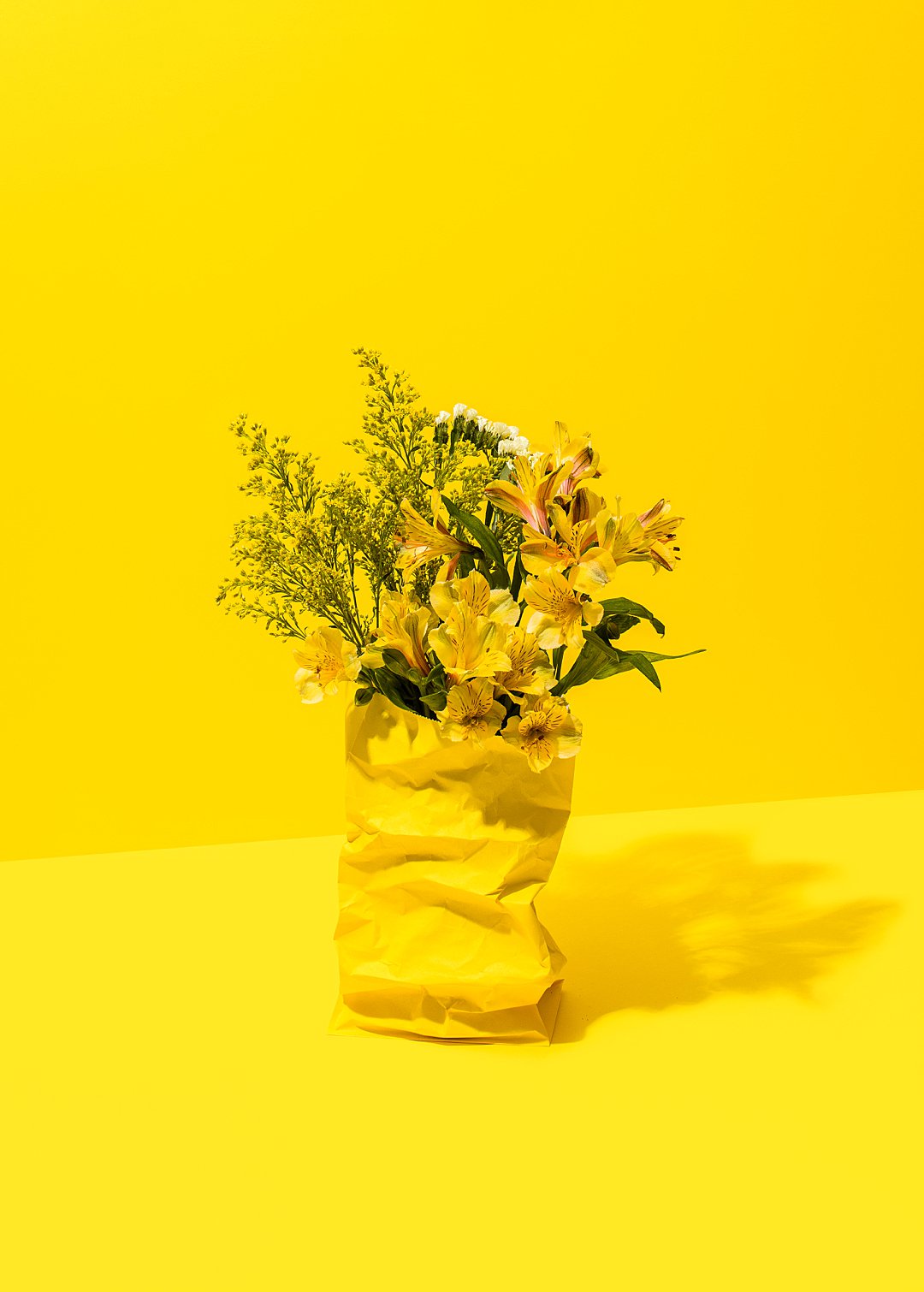 Beauty Finds a Way. Colourful still life photography with art direction and floral styling by HIYA MARIANNE photo production studio.