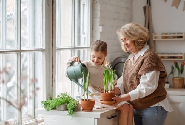 Read more about the article 10 enkle urter og grønnsaker å dyrke på kjøkkenbenken