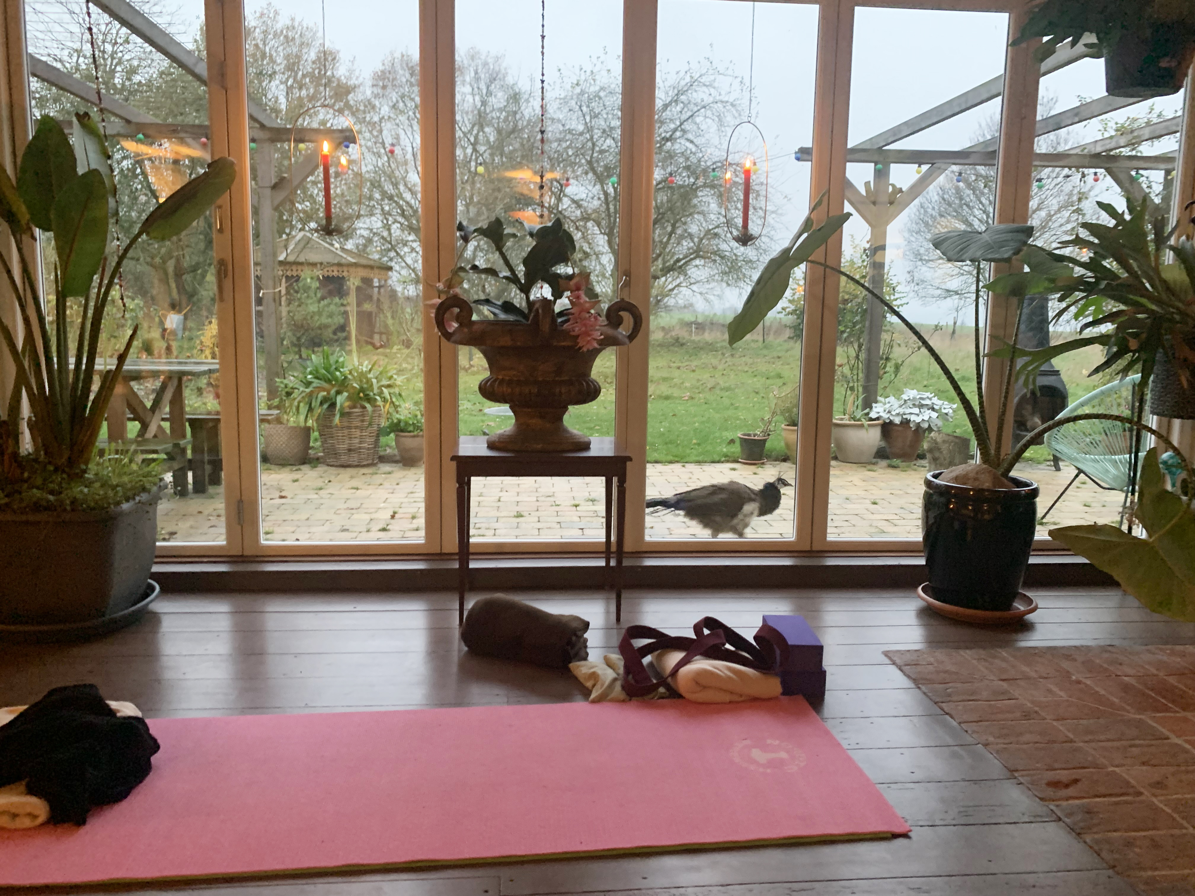 Et herligt og forkælende yoga forårsretreat med Vibeke Frydenlund