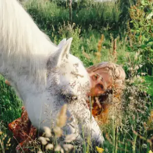 coaching hoeve cavallo per sempre