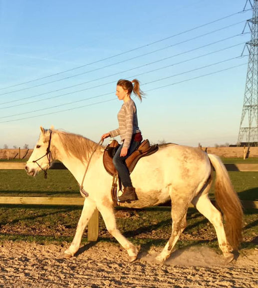 Communicatie met paarden hoeve cavallo