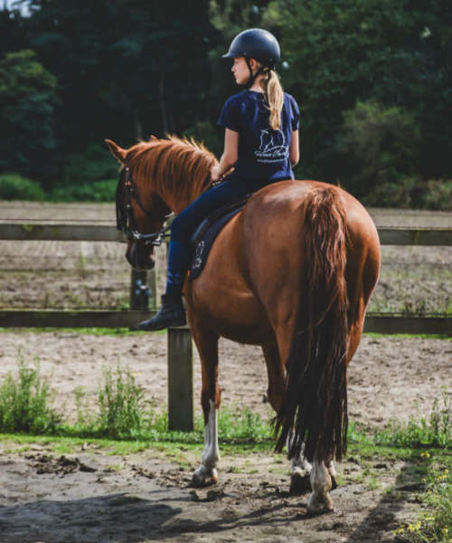 Stap wandeling paard