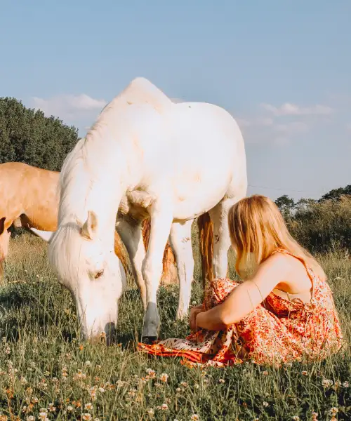 Hoeve Cavallo Lily Ann welkom