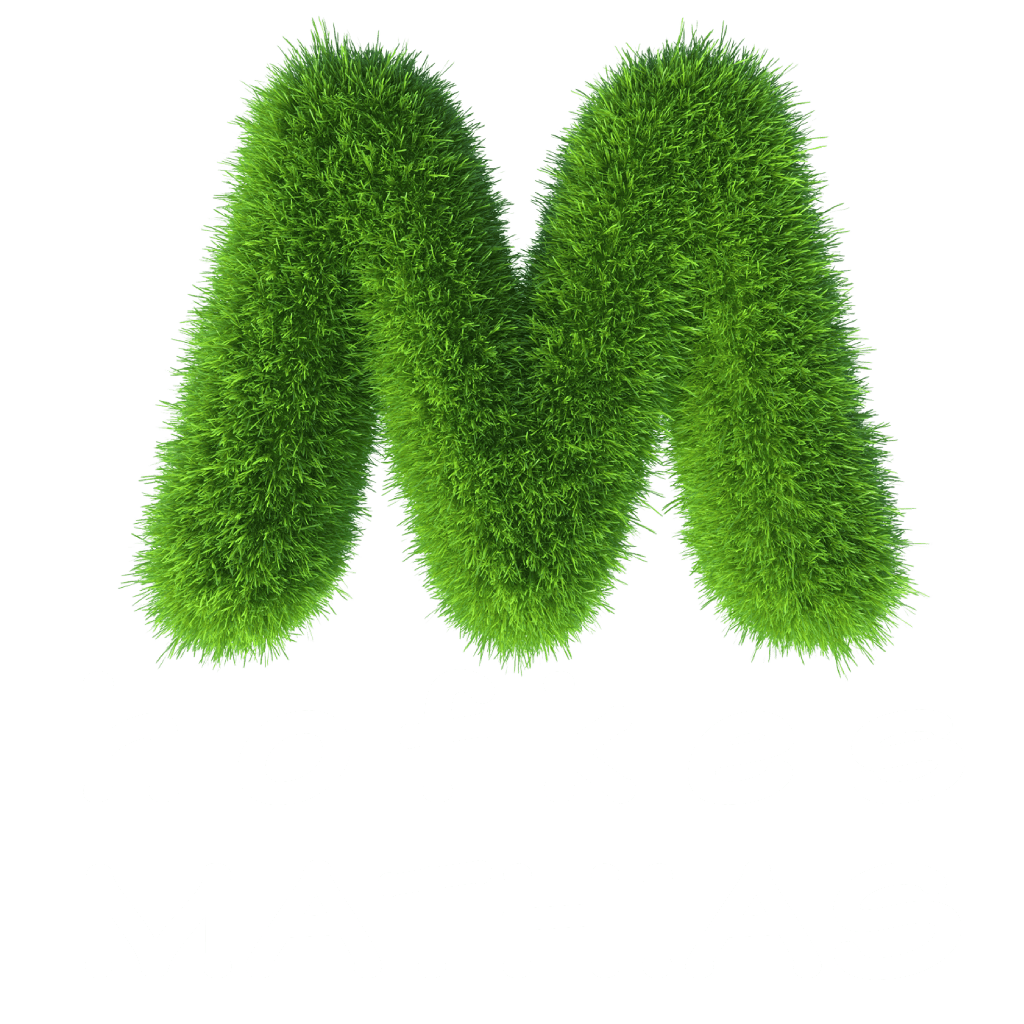 Hofkes Mathias