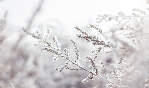 Snöskottning och snöröjning i Eksjö och Nässjö