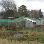 Innhengning hvor fasanene og rapphønsene holdt hus