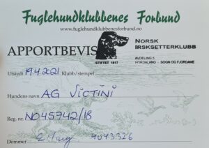 Da var apportbeviset i boks! 