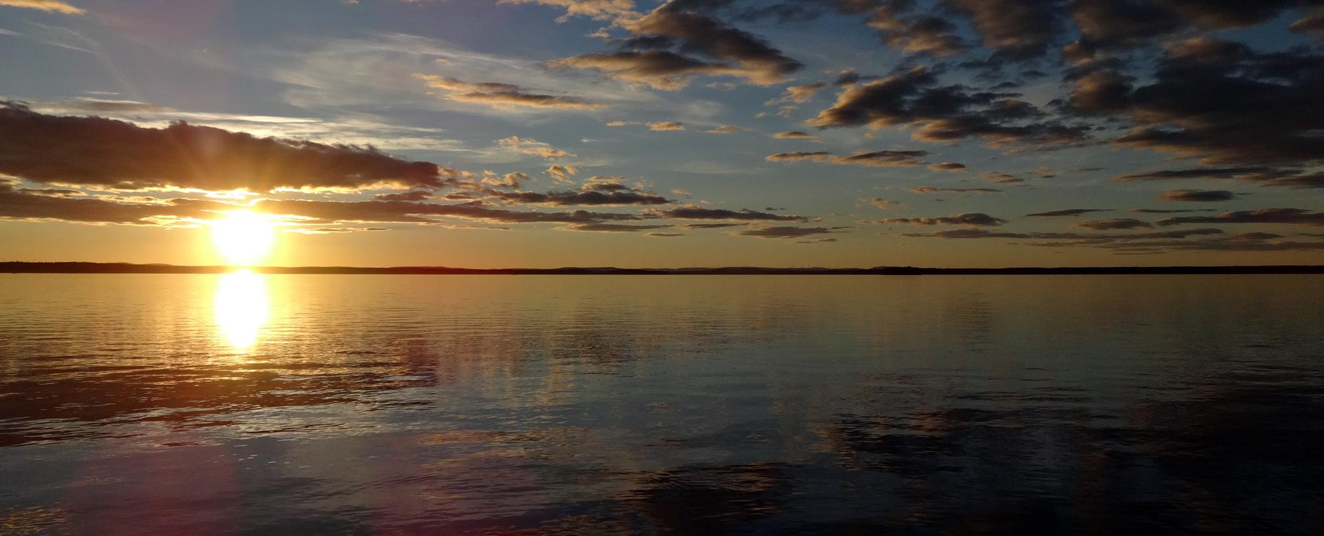 Läs mer om artikeln Tisdagsrundan den 16 augusti.