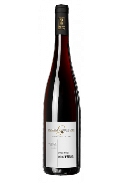 2019 Pinot Noir d'Alsace - Sec. Dom. Scheidecker & Fils. Alsace