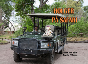 Holger på safari