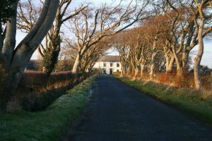 photo of road to Hartlaw Farm