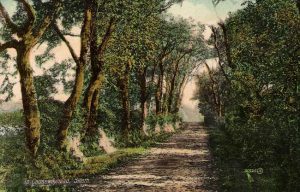 old photo of lane to Causewayhead