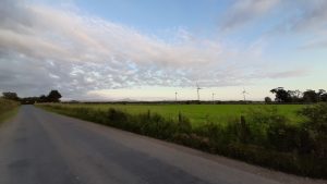 photo showing wind turbines at Hellrigg