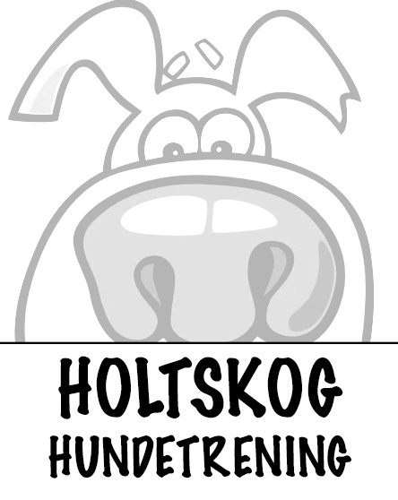 HOLTSKOG HUNDETRENING