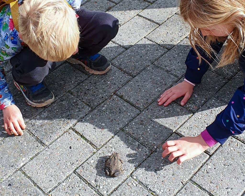 Anders Kofoeds store bog om naturen