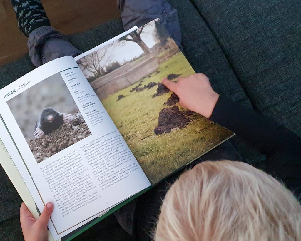 Anders Kofoeds store bog om naturen