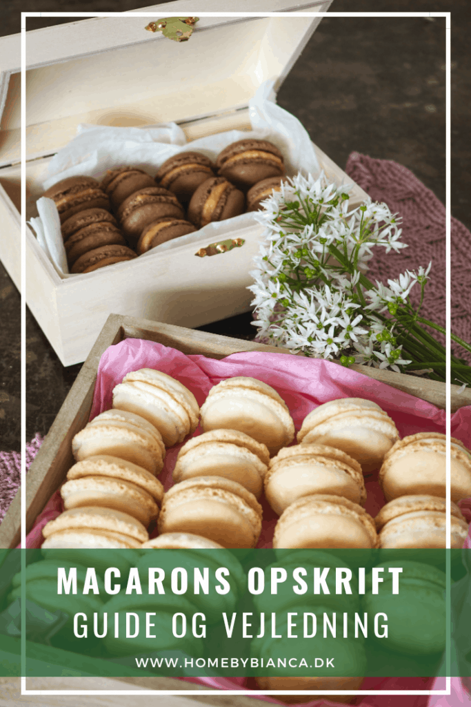 Macarons opskrift, guide og vejledning