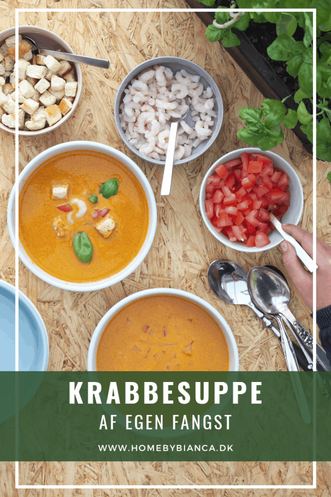 Krabbesuppe af egen fangst