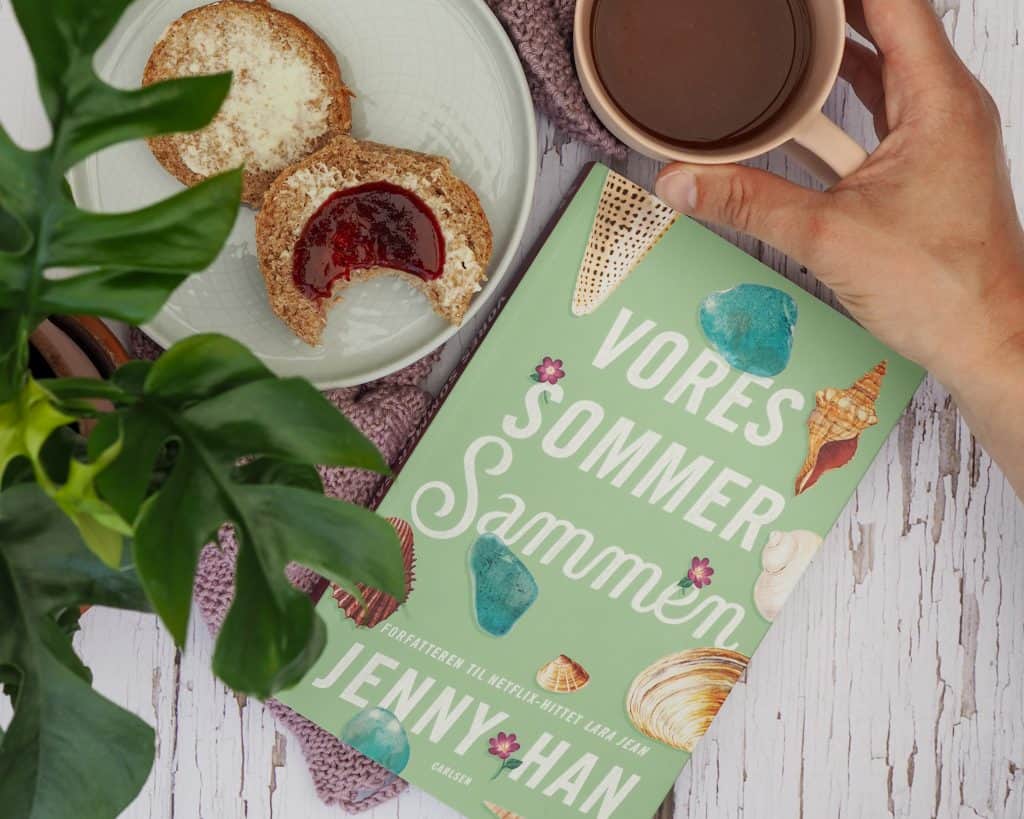 Vores sommer sammen boganmeldelse