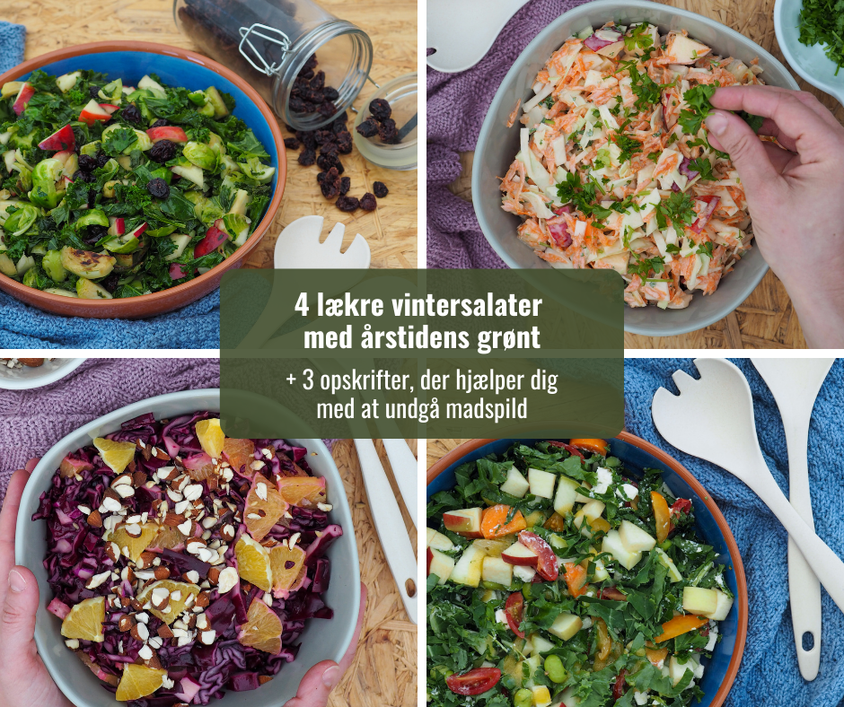 Vintersalater - madplan - nyhedsbrev