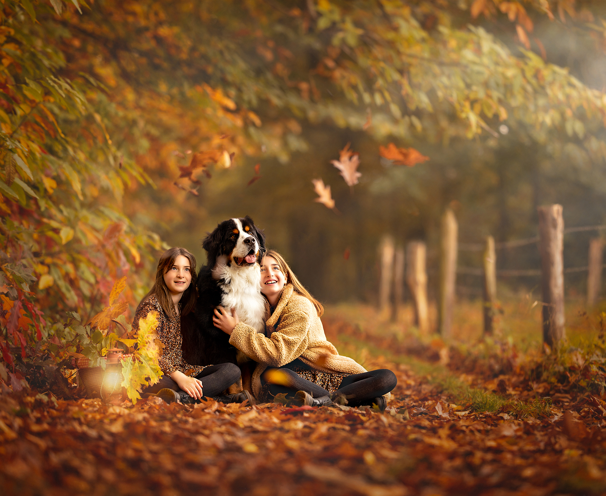 artistieke hondenfotografie outdoor editie herfst