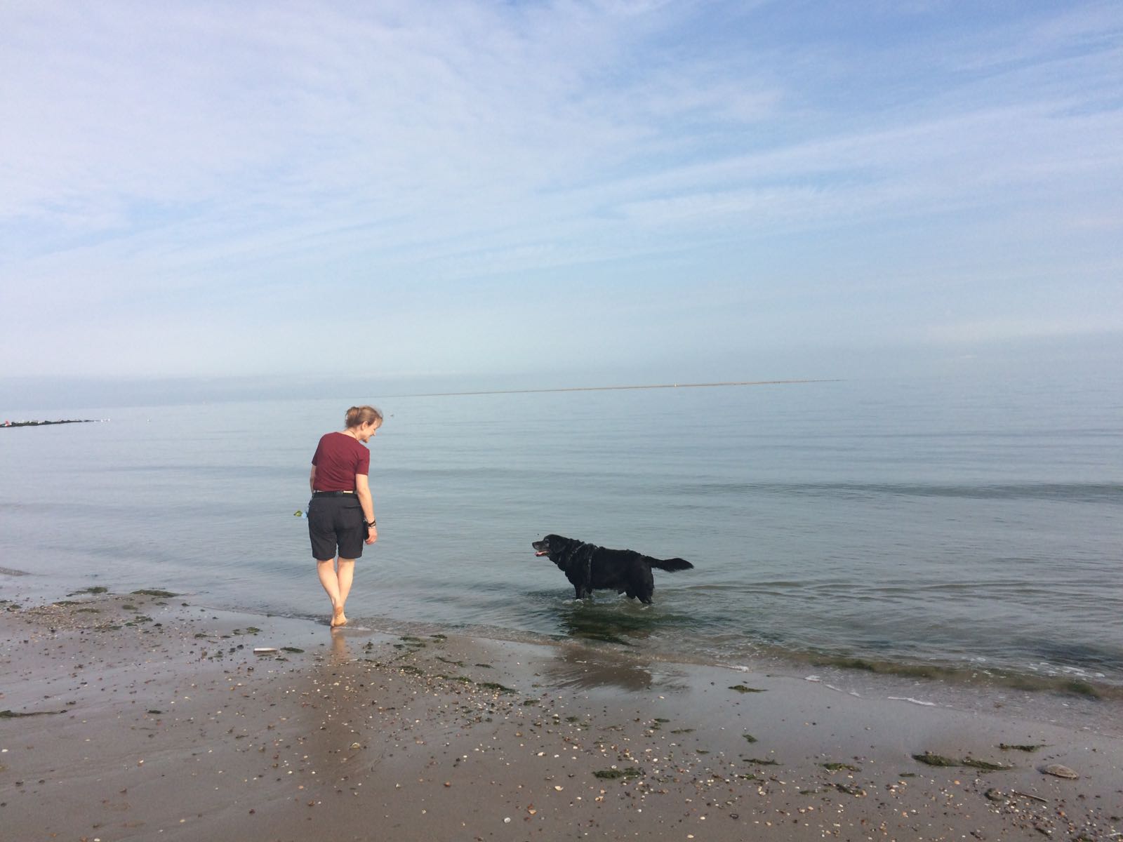 Leida met hond bij water Leida met hond bij water