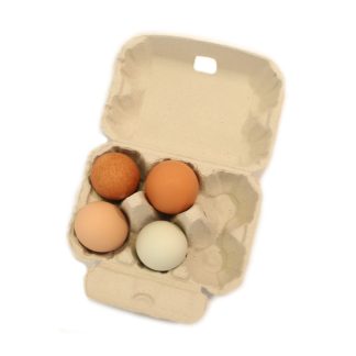 Äggkartonger 6-pack