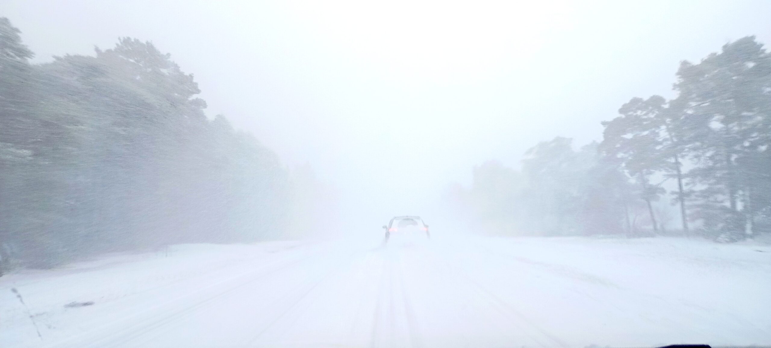 Orange varning för snöstorm – färjor ställs in