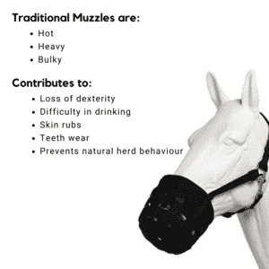 Traditional muzzles