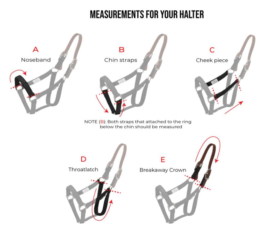 sizing Thinline breakaway halter