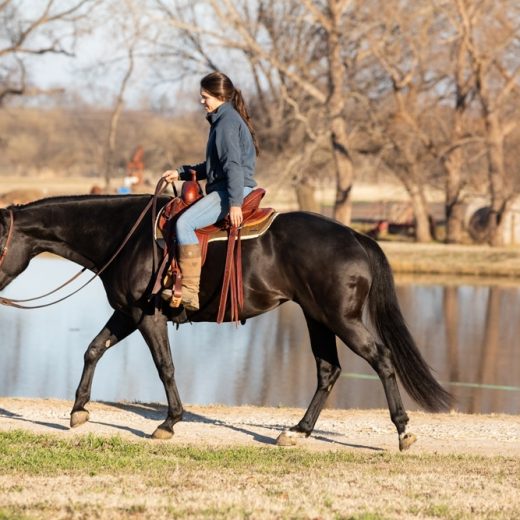 ThinLine Endurance Waxed Saddle Pad Tan Lifestyle