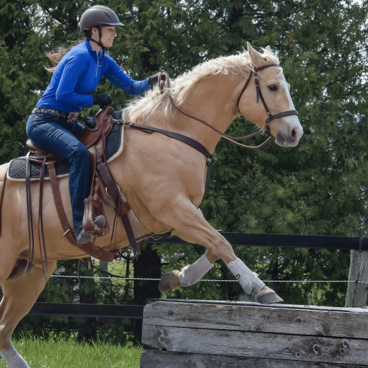 ThinLine Western Woven Wool Comfort Pad - Lifestyle