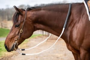 ThinLine-Western-Reins-4