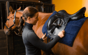 Saddle Fitting