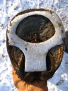 Hoof sole with T-bar shoe