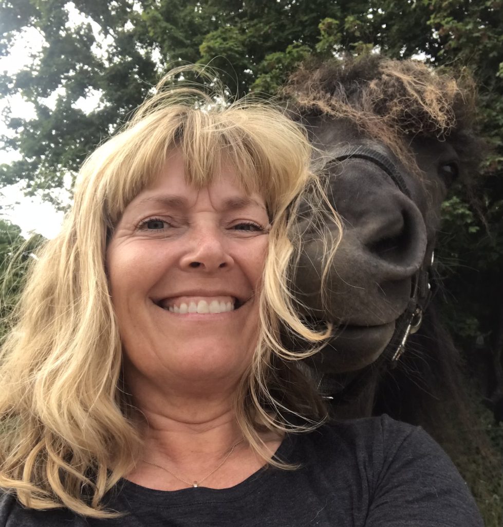 hesteterapeut i Nordsjælland og Storkøbenhavn