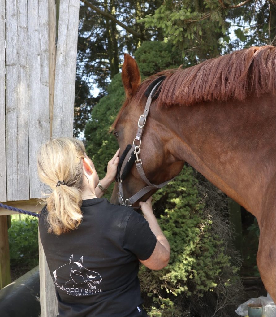Hesteterapi i Nordsjælland og Storkøbenhavn