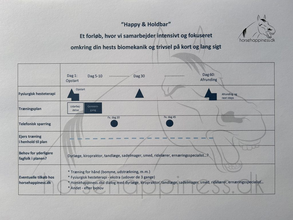 "Happy & Holdbar" - et forløb, hvor vi samarbejder intensivt og fokuseret omkring din hests biomekanik og trivsel - alt sammen i hestens vante omgivelser.