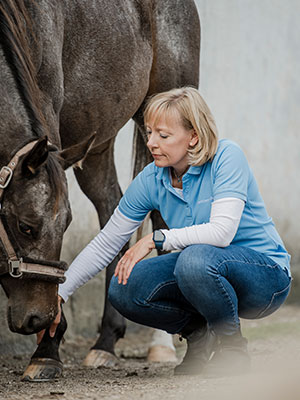 HorseMama hestemassage på hele Sjælland