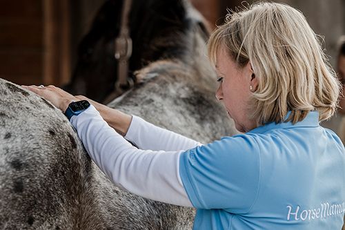 HorseMama Healing