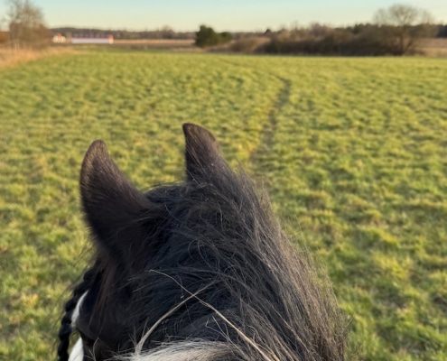 Braveheart og HorseMama på tur