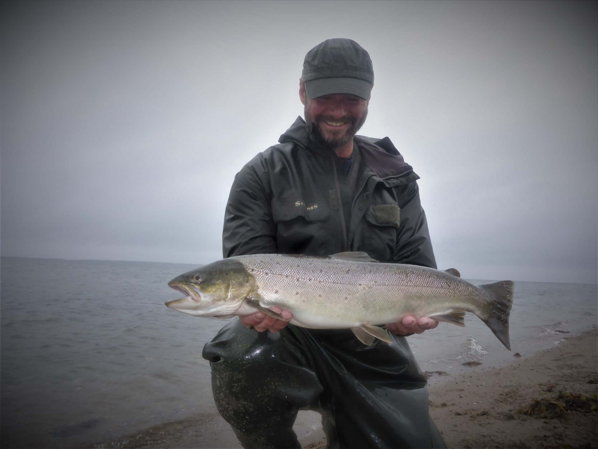 Fiskevideo fra Hjarnø i Horsens Fjord.