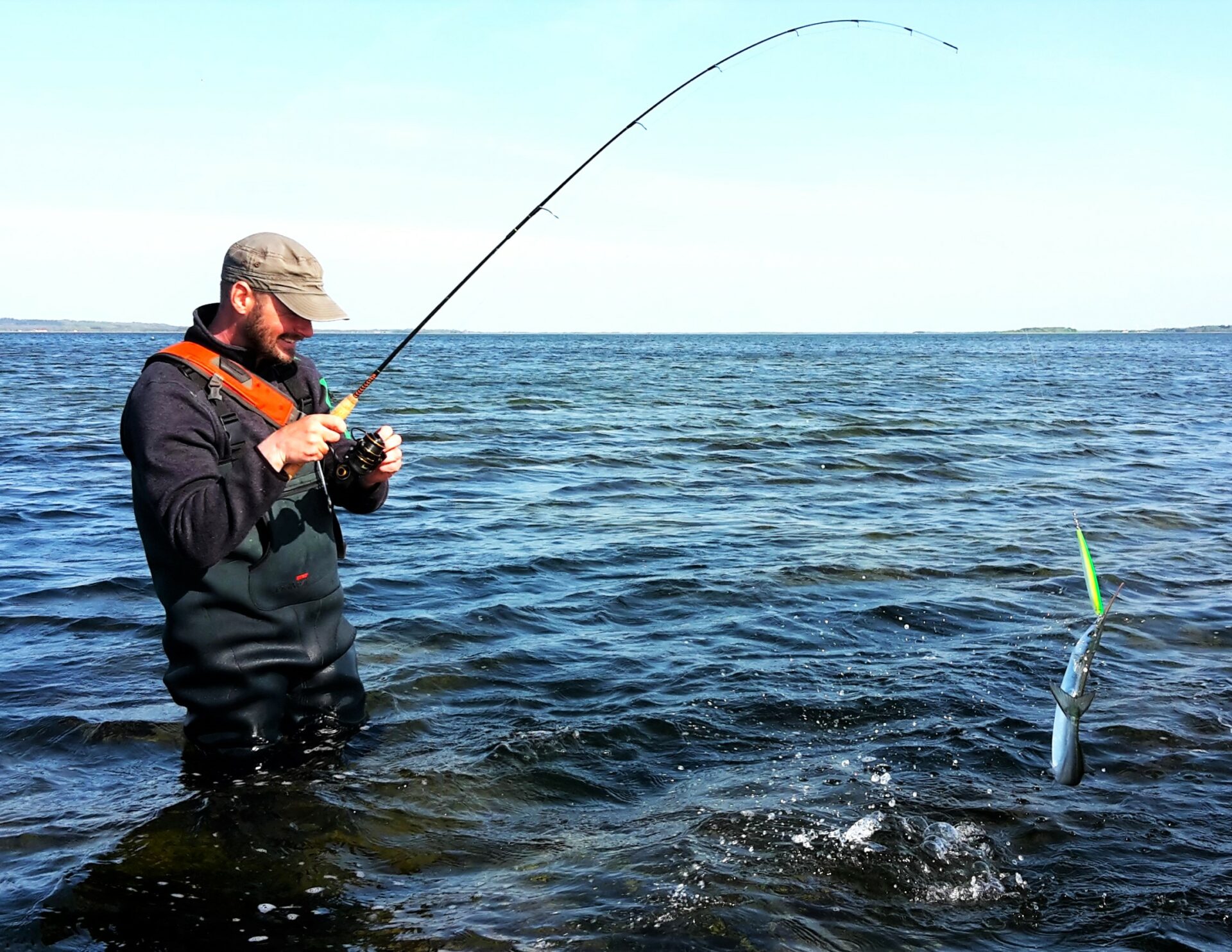 Guidede fisketure i Horsens Fjord
