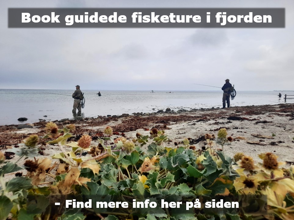 Glud Håb en fiskeplads i fjorden.